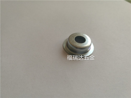汽車氣門油封骨架