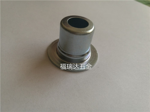 氣門油封